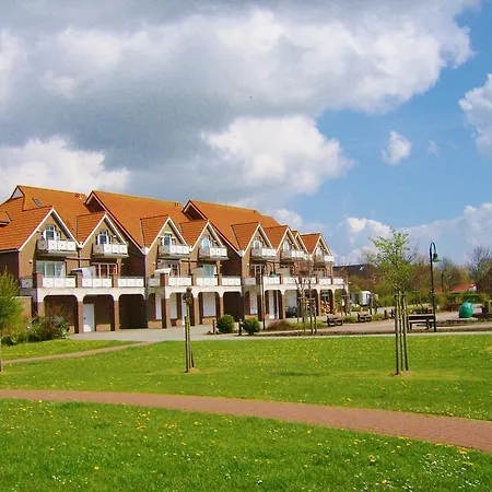 Krabbentaucher 2 * Neßmersiel