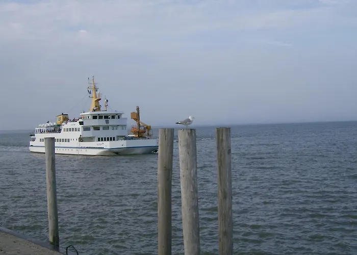 Daire Krabbentaucher 2